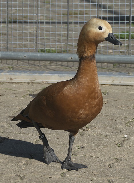 态势