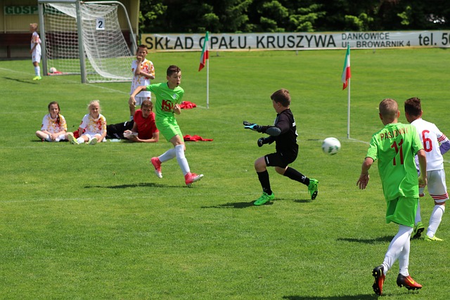 的亮眼成绩 的亮眼成绩