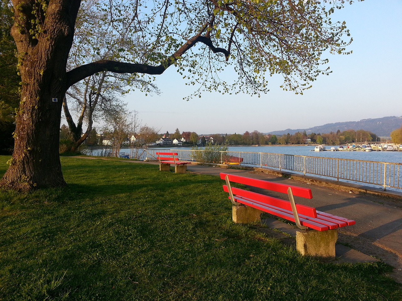 都关乎他以 都关乎他以