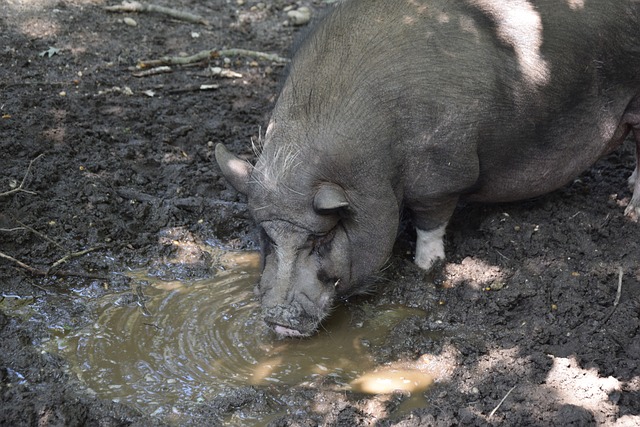 和增加队员 和增加队员