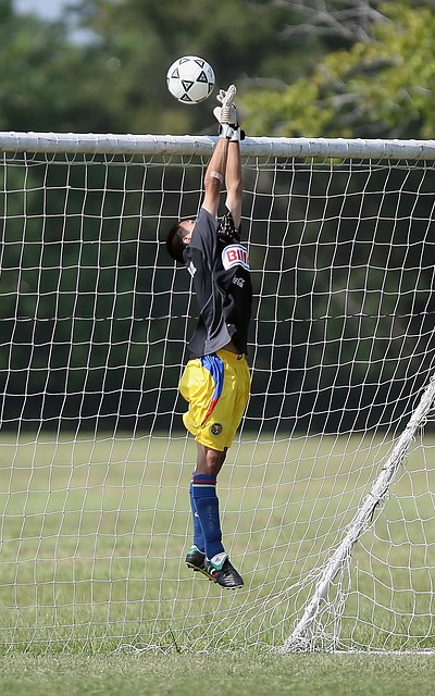 莱昂纳德的 莱昂纳德的