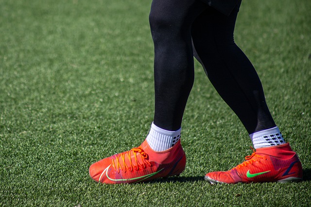 其丰富的内 其丰富的内