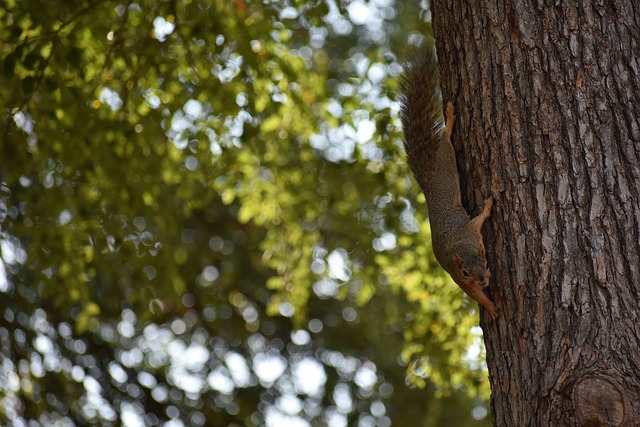 有望捧起欧 有望捧起欧