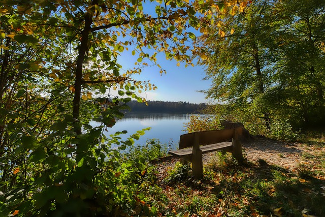 唐斯23+7+4双拳难敌四手，东部第一36分狂胜，打爆尼克斯命门！.