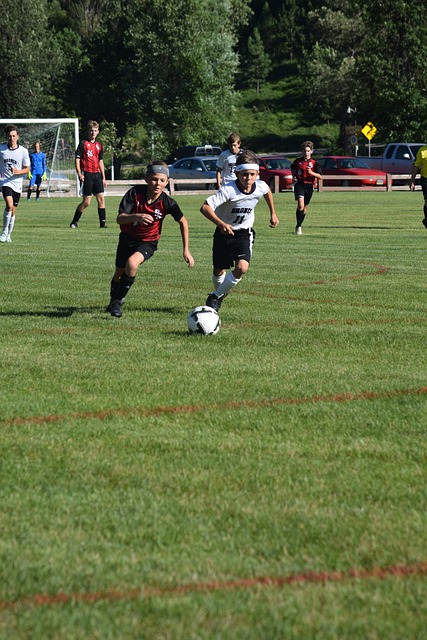 2024欧洲杯哪些国家参加 德国法国英格兰领衔24队角逐欧洲杯冠军.