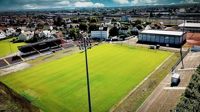 取得了胜利 取得了胜利