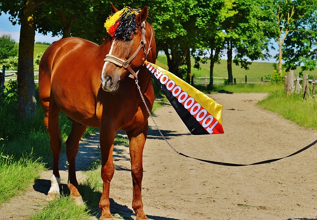 之间的互动 之间的互动