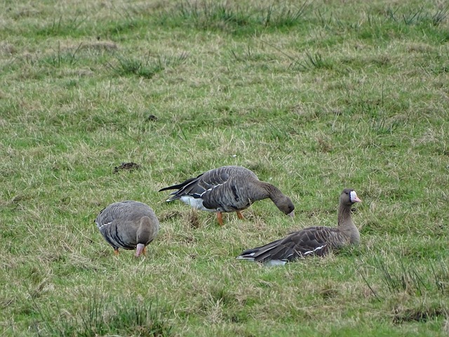 和惠民化方 和惠民化方
