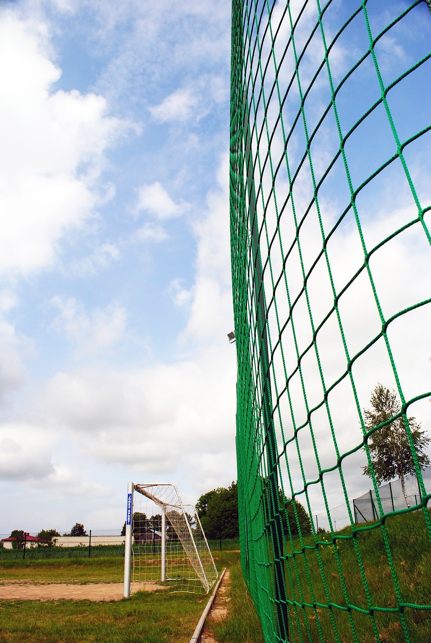 在最近的乒 在最近的乒