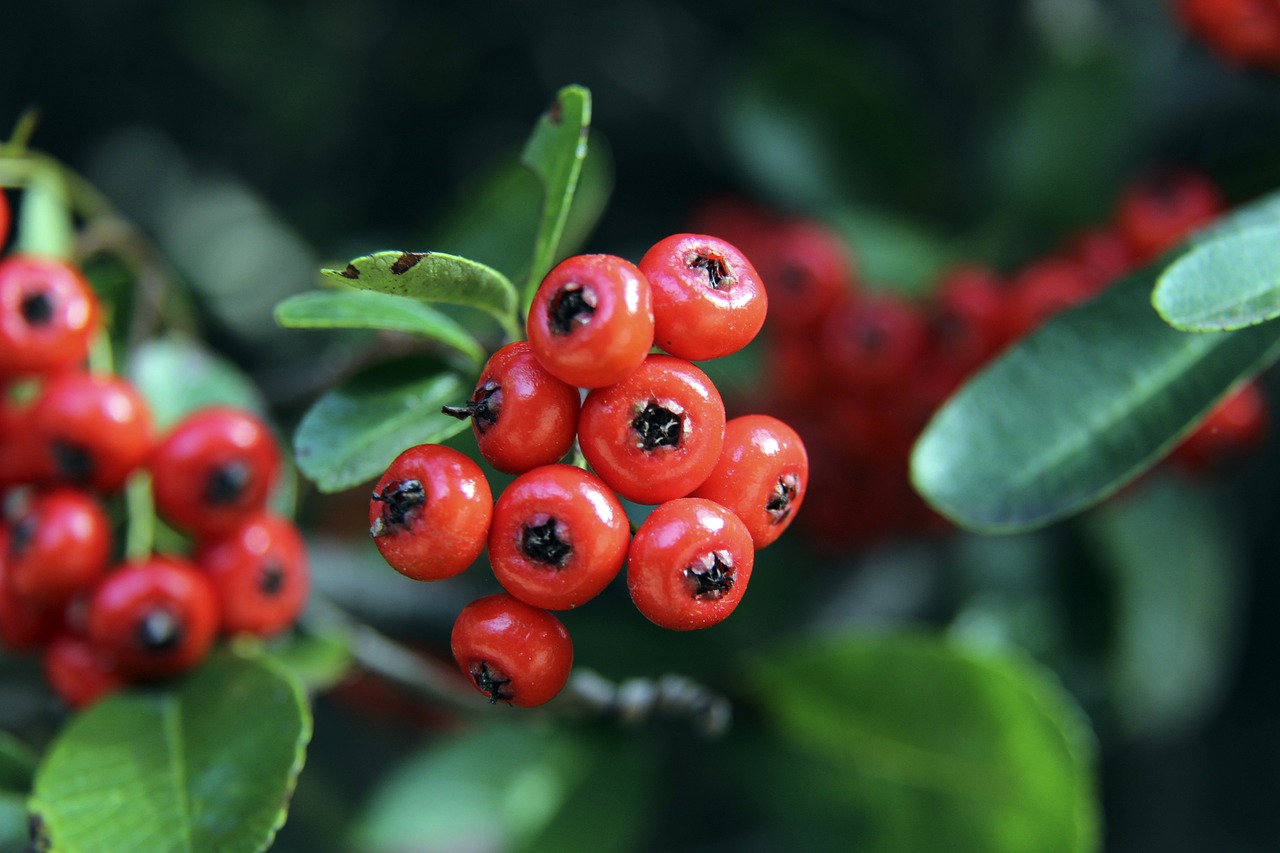 米兰冬奥会中国体育代表团领奖服、开幕式入场服设计征集活动启动.